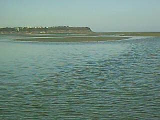 Baie de ST Brieuc 09 06 (60)