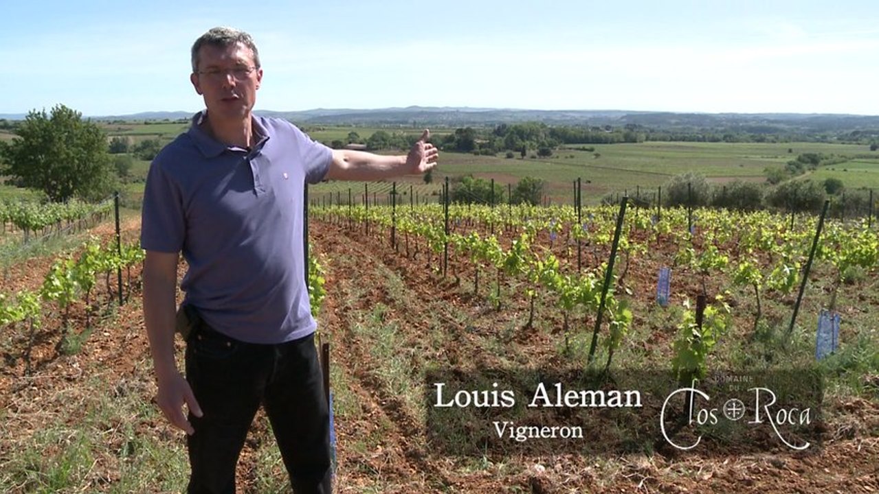 Domaine du Clos Roca