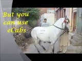 Pune Shirdi Car rental Taxies, Mumbai Alibaug Cabs , Pune Mumbai Taxi service