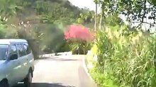 Can a Scooter Beat a Motorcycle?