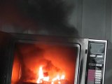 CFL's in the Microwave oven [ reuploaded ]