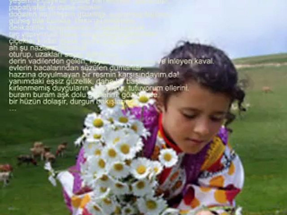 düşler ve gerçekler