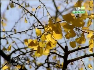 [PV] ソニン - あすなろ銀河