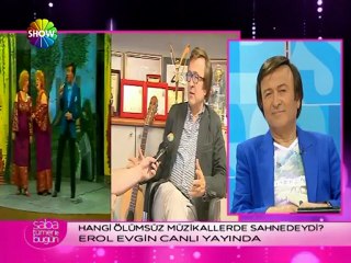Erol Evgin'in kariyer bandı