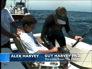 Guy Harvey Sampling Offshore