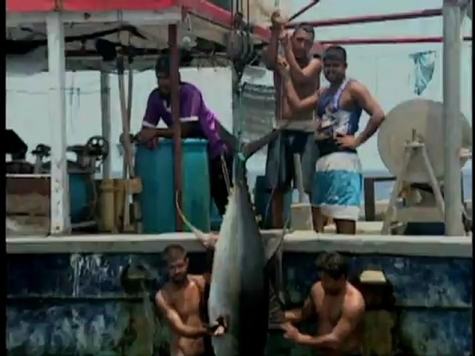 Alex and Andi Catch Tuna
