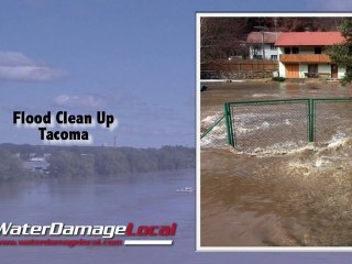 Tacoma Flood Clean Up - Carpet Drying Service