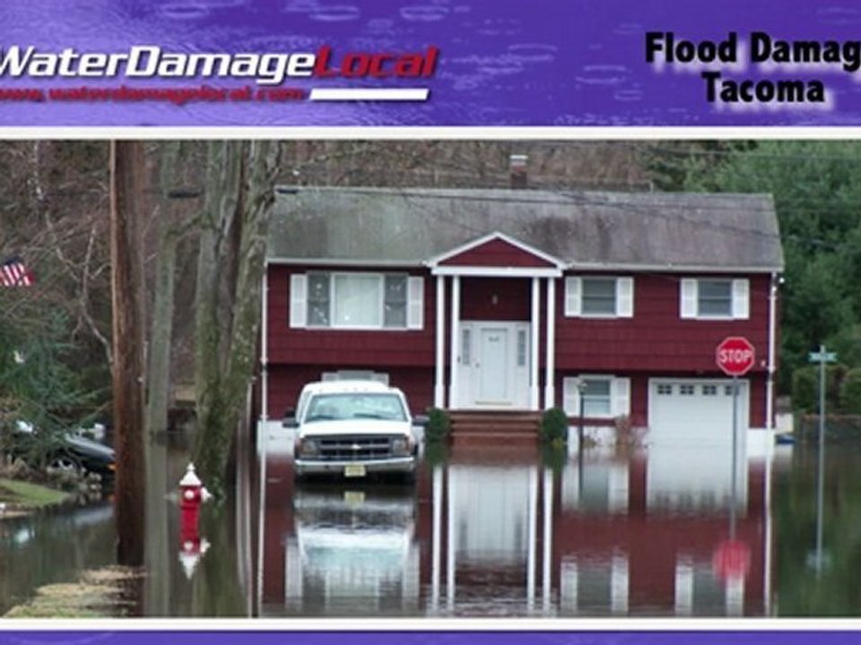 Tacoma Flood Damage ~~ Water & Mold Remediation