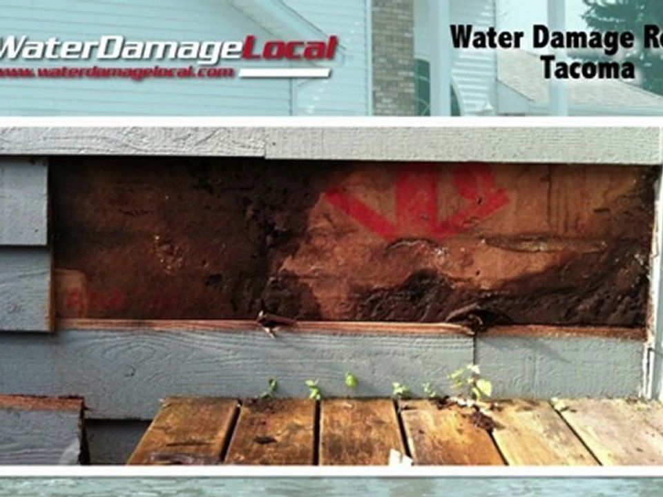 Tacoma Water Damage Repair ~~~ Flood Clean Up Available