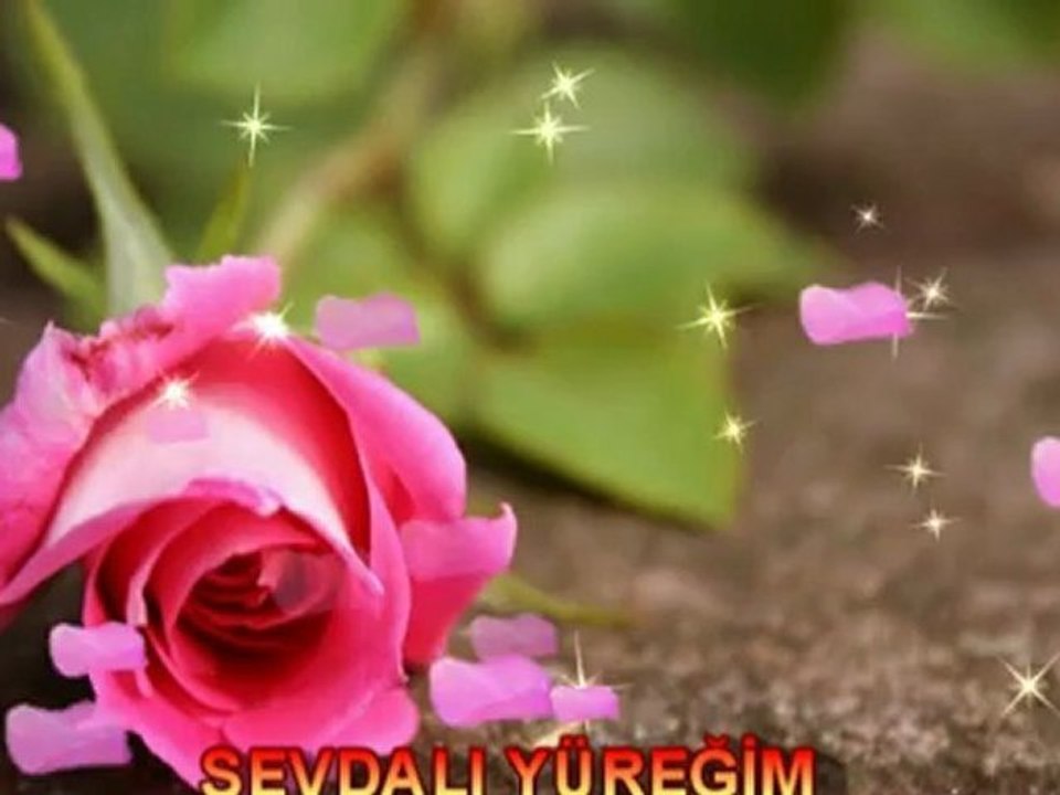 SENDE KALDI YÜREĞİM