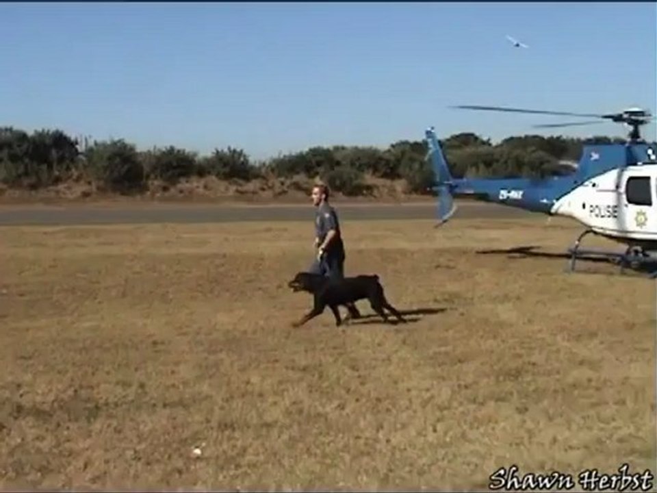 SAPS Eurocopter AS350 Helicopter Random Video