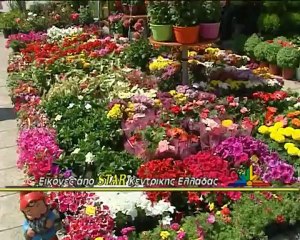 Έκθεση ανθοκομίας στην Λαμία