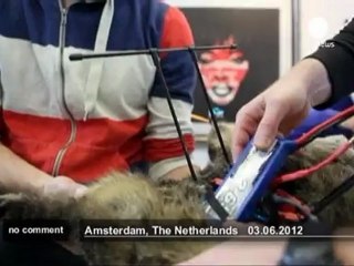 Dead Catcopter art - no comment