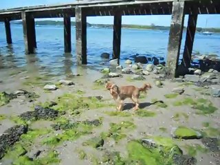 à la plage Mai 2012