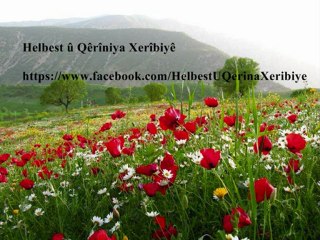 helbest-occo mahabad-ka guhdarî bike.....