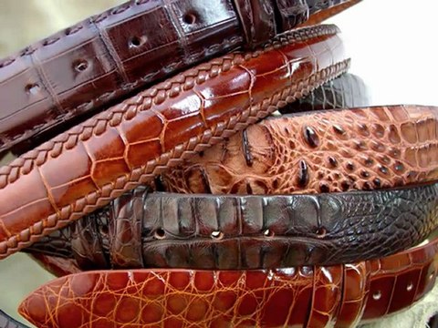 Alligator Belt – The Best Luxury Item In Your Waist