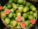 Ingrid Irribarren - La importancia de incluir frutas en tu dieta diaria