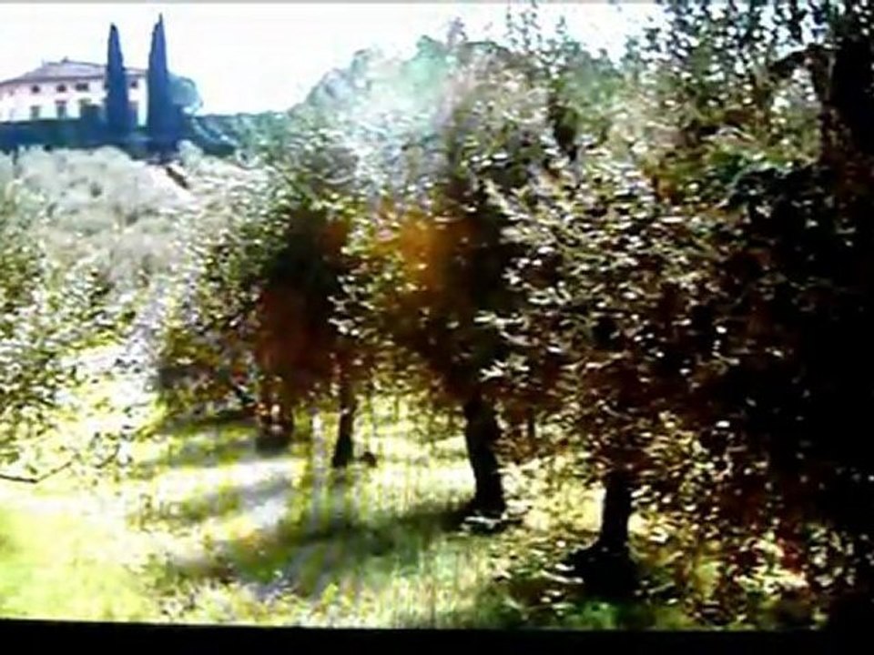 la fabrication de l'huile d'olive extra vierge