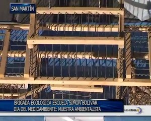 Muestra sobre Medio Ambiente