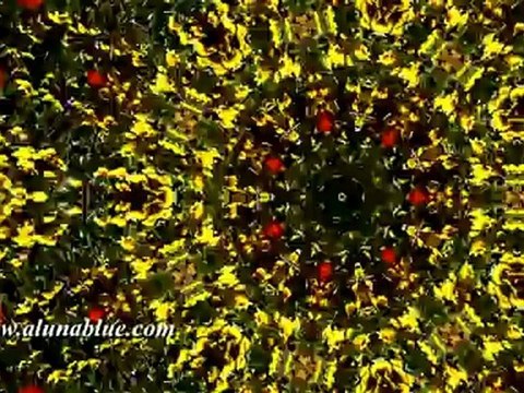 Free Stock Video - Free Video Backgrounds - Free Stock Footage