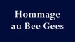 BEE GEES HOMMAGE - NIGHT FEVER - LA FIEVRE DU SAMEDI SOIR