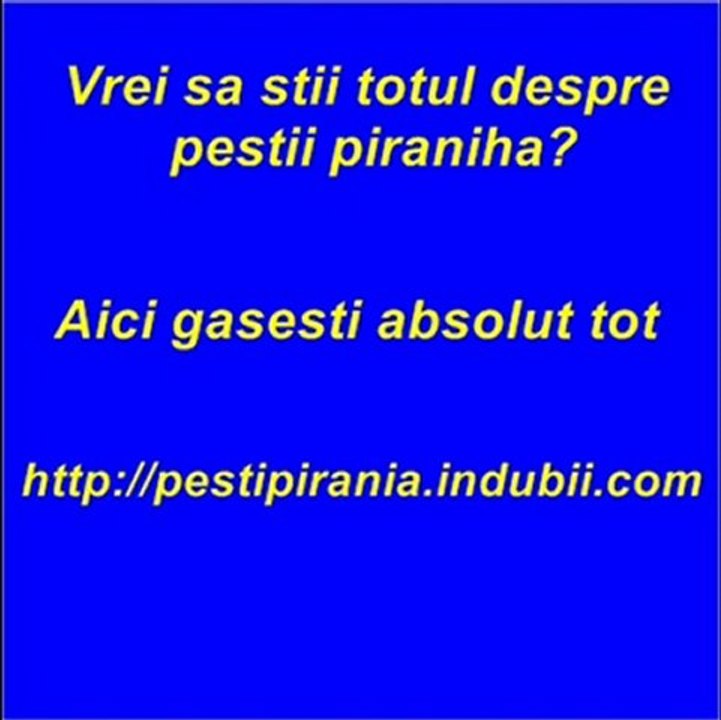 Pesti Piranha | Pestele piranha | Pestii Piranha