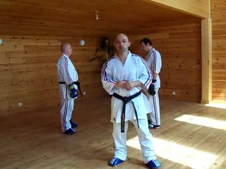 1 stage karaté contact jérome tarlevé