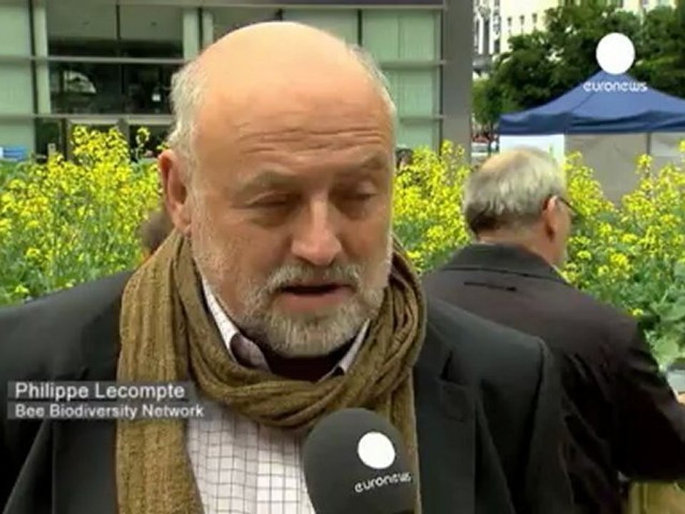 Brussels abuzz over bee decline