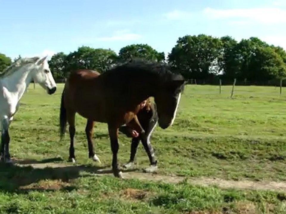 Opium fait la révérence