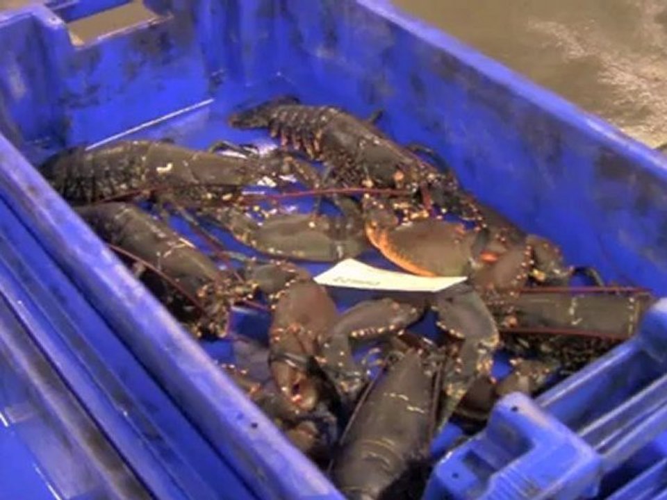 La pêche, une activité dynamique de notre territoire  | Yves Pelle