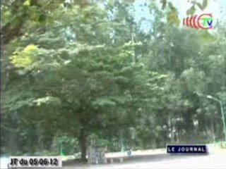 La préservation de l’environnement au Congo est une culture