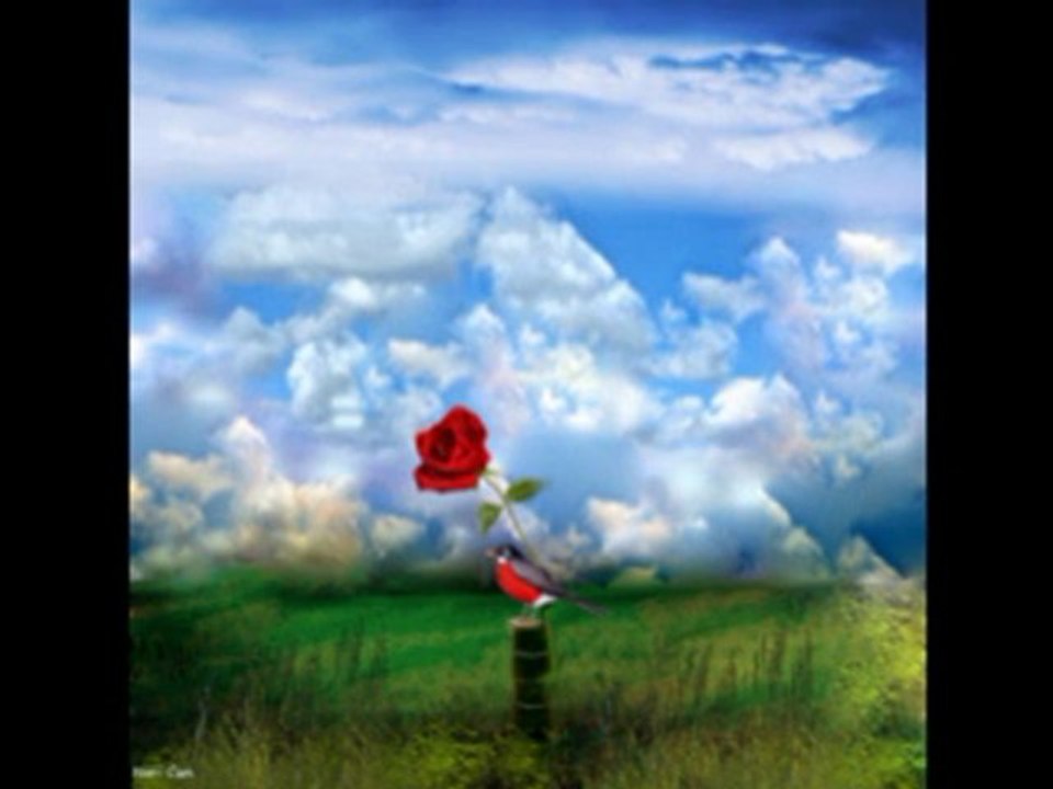 Aşkın ile aşıklar Konya Türk Tasavvuf Müziği topluluğu.