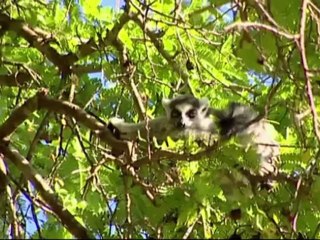 People & Power - State of denial