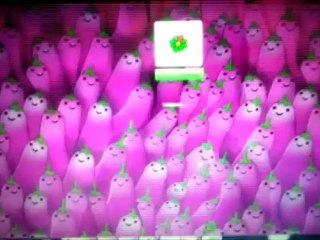 ICQ - Apresentação - Victoria Silva