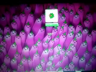 ICQ - Apresentação - Victoria Silva