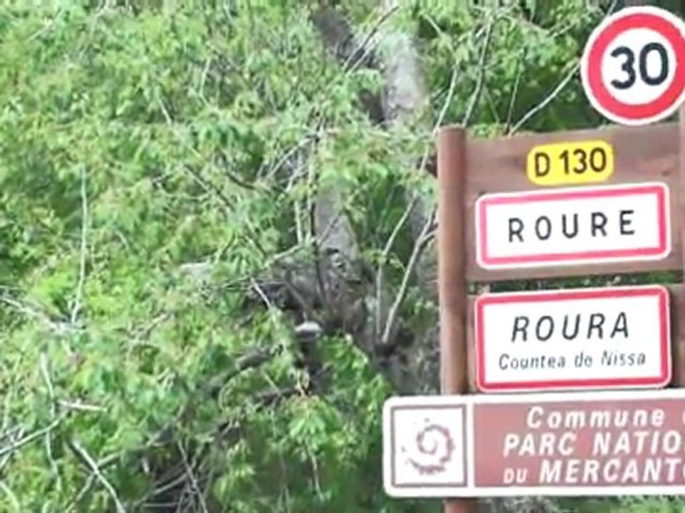 Ma campagne législative, ROURE