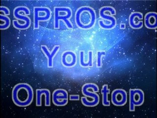 PSSPROS.com Search Engine Visibility SEO Services