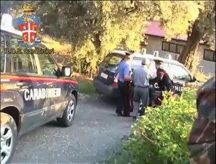 Droga - Coca su transatlantici, blitz contro cosca della 'ndrangheta (04.06.12)