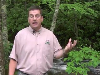 Little Tumbling Creek Stocked Thanks to Partnership