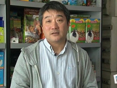 Quelle température idéale pour les poissons ?