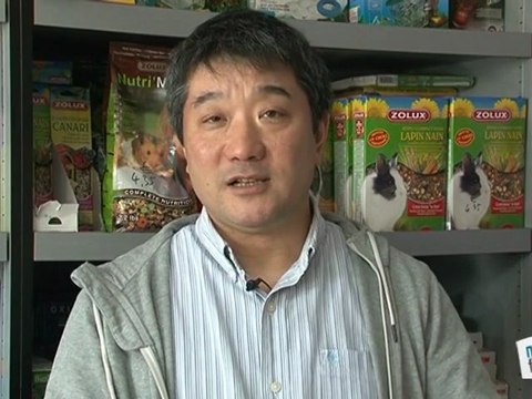 Comment choisir son filtre d'aquarium ?