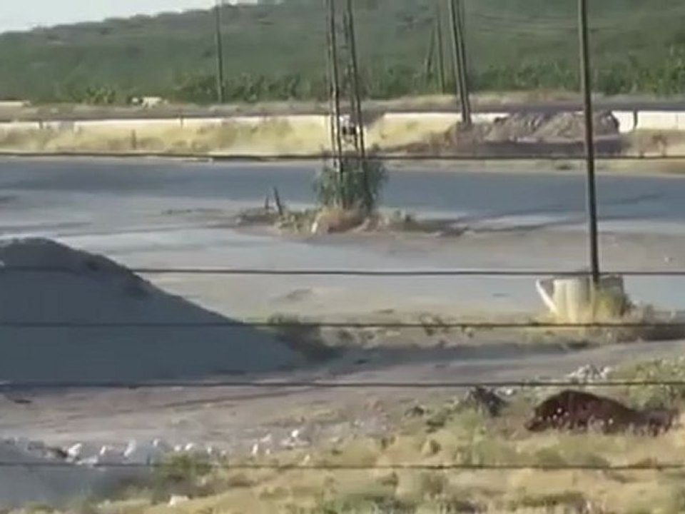 Syria فري برس  حماه المحتلة مورك استهداف المصور من قبل دبابة اسدية 4 6 2012 Hama