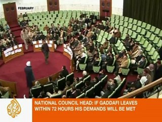 Interview with Libyan opposition