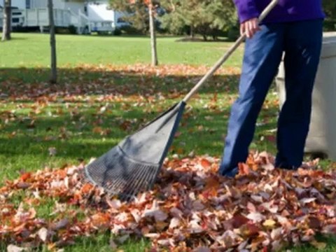 Colourscape Inc - (281) 277-6122