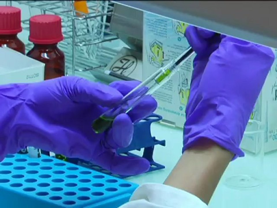 Les recherches sur les bioénergies au CEA