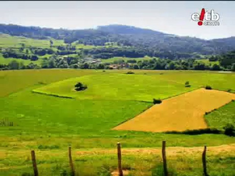 El Tiempo: Paisajes verdes