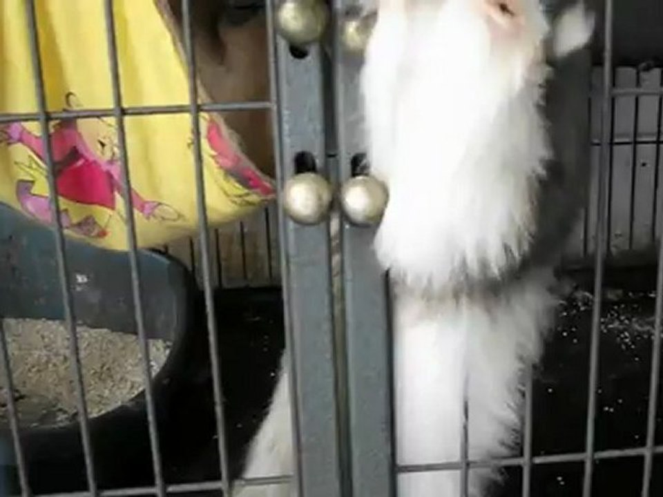 dexieme facon de s'evadé