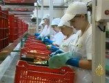 مساهمة القطاع الزراعي في سوق العمل بالبرتغال