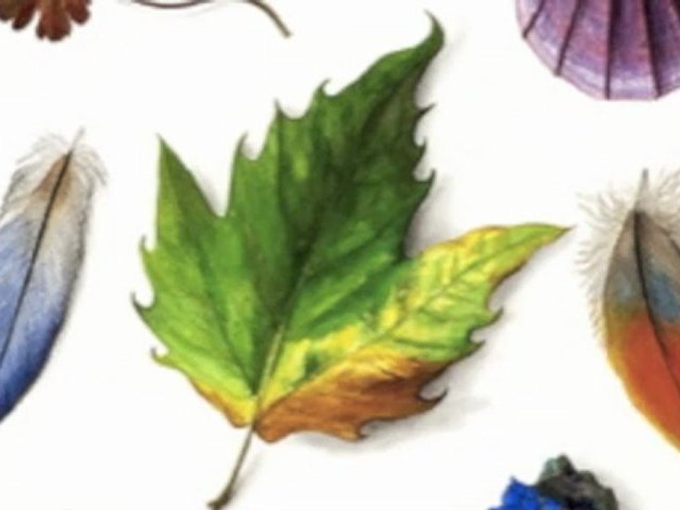 CONSORT DE VIOLES - VIOLS CONSORT (III)