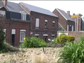 il y a tant de choses à voir... n°5